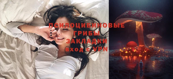 Альфа ПВП Бердск