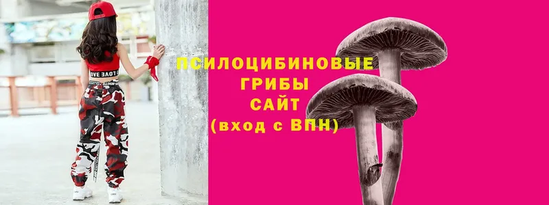 Псилоцибиновые грибы мухоморы Ессентуки