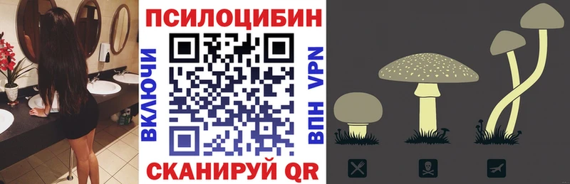 Псилоцибиновые грибы GOLDEN TEACHER  цены   Ессентуки 