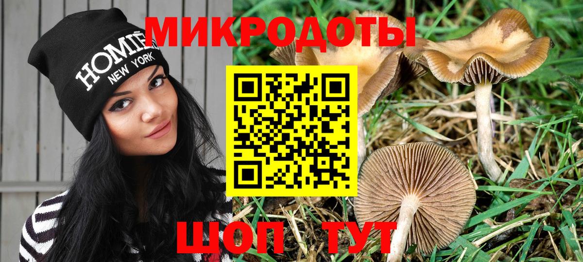 Псилоцибиновые грибы ЛСД  Вход с VPN  Ессентуки  Галлюциногенные грибы GOLDEN TEACHER 