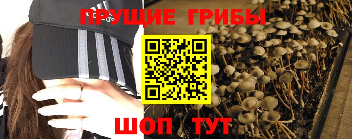 Галлюциногенные грибы мухоморы  Галлюциногенные грибы мухоморы  Ессентуки 