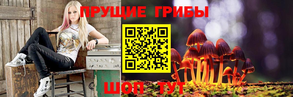 Псилоцибиновые грибы Cubensis Ессентуки