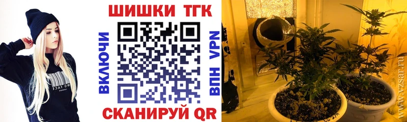 Каннабис OG Kush  где можно купить   Ессентуки 