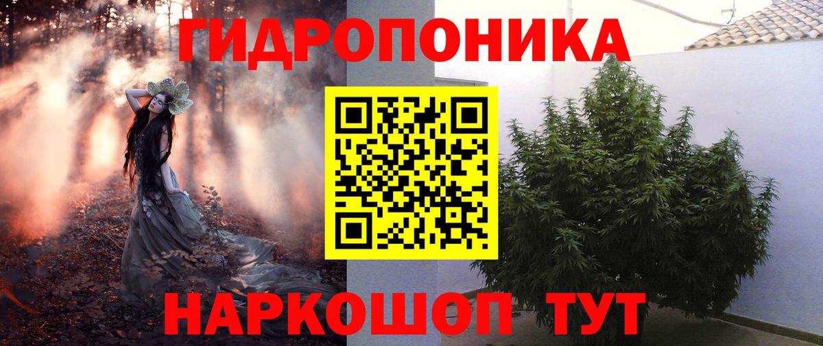 Марихуана Bruce Banner  МАРИХУАНА марихуана  Бошки марихуана Ganja  Ессентуки 